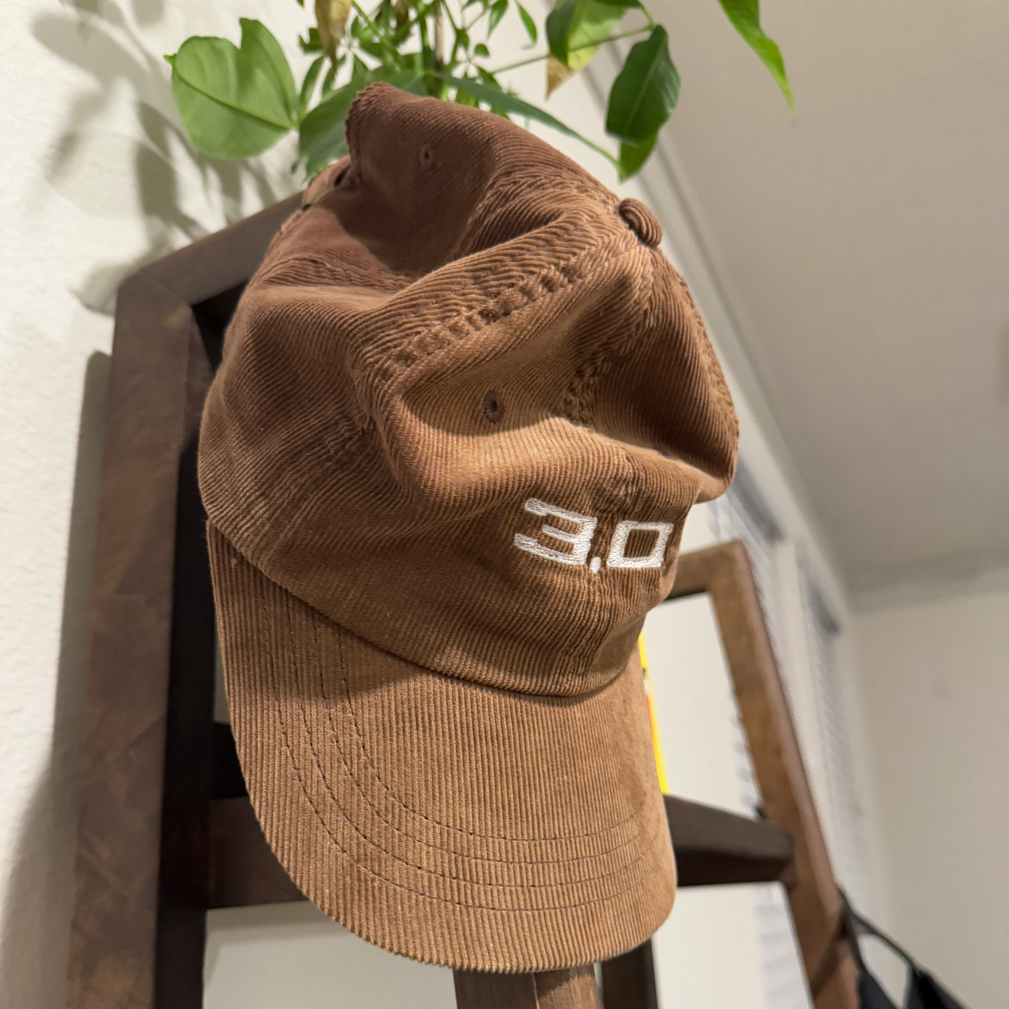 3.0 Corduroy Hat